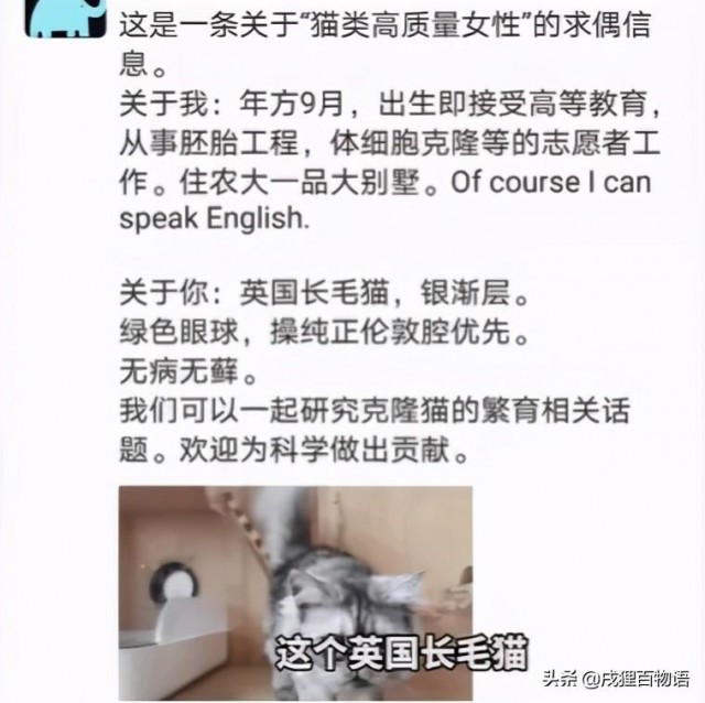 如果“宠物复活”不再是神话，谁来为代孕猫狗买单？