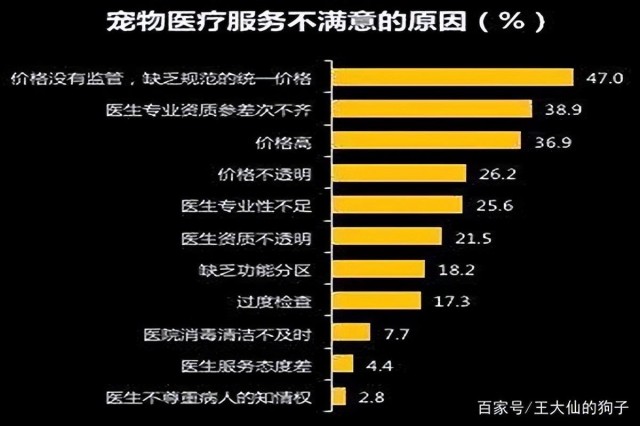 揭开宠物医院的黑幕为什么宠物医院这么黑